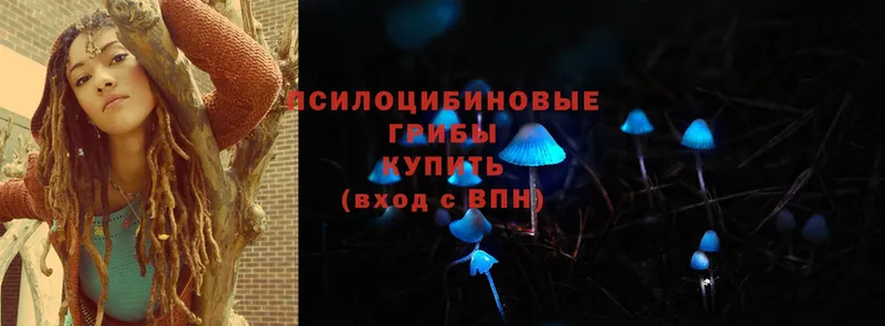 blacksprut ССЫЛКА  купить наркотики цена  Сельцо  Галлюциногенные грибы MAGIC MUSHROOMS 